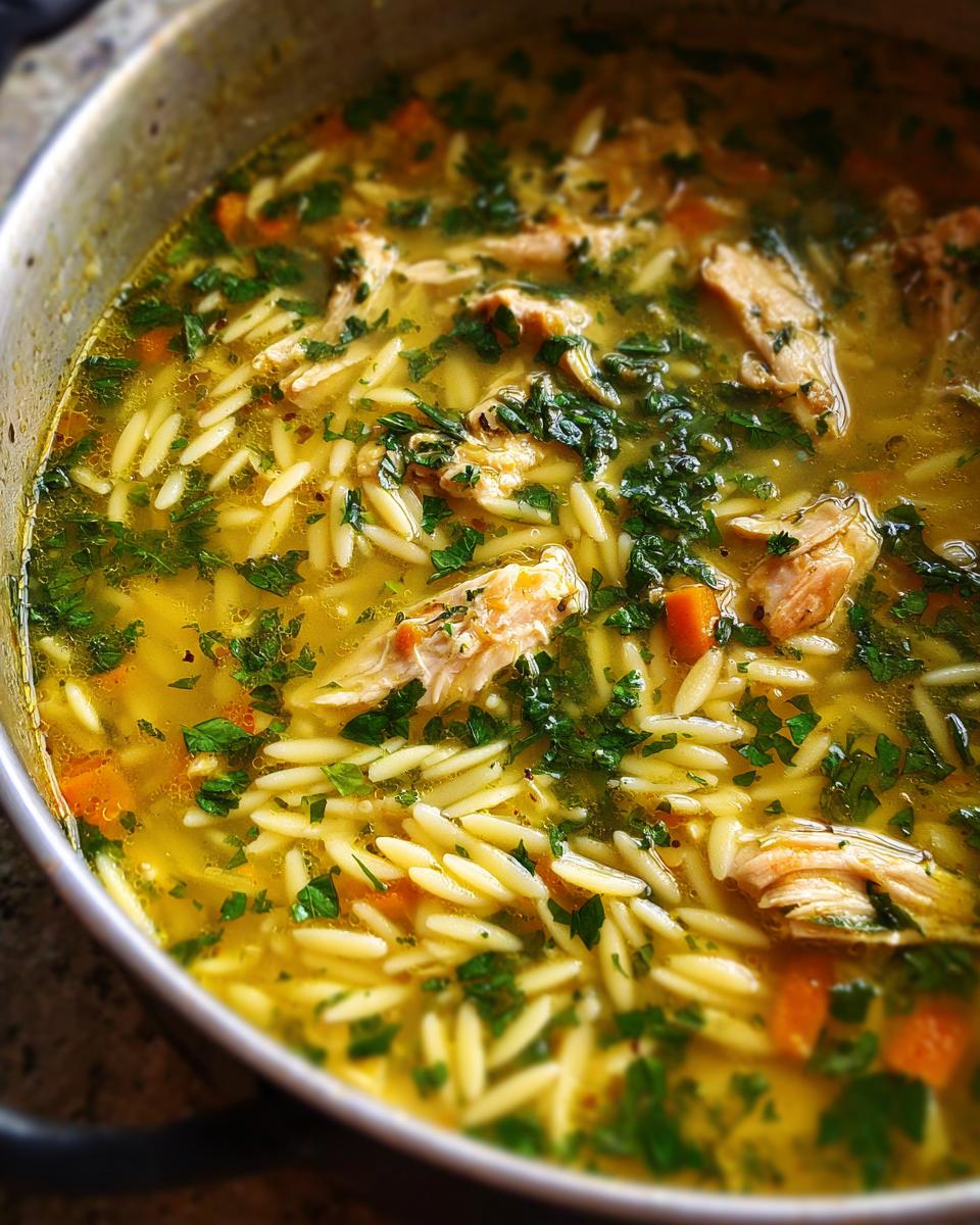 Close-up of a pot filled with Lemon Chicken Orzo Soup With Fresh Herbs, showing tender chicken, orzo pasta, carrots, and parsley.